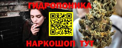 Альфа ПВП Рузаевка