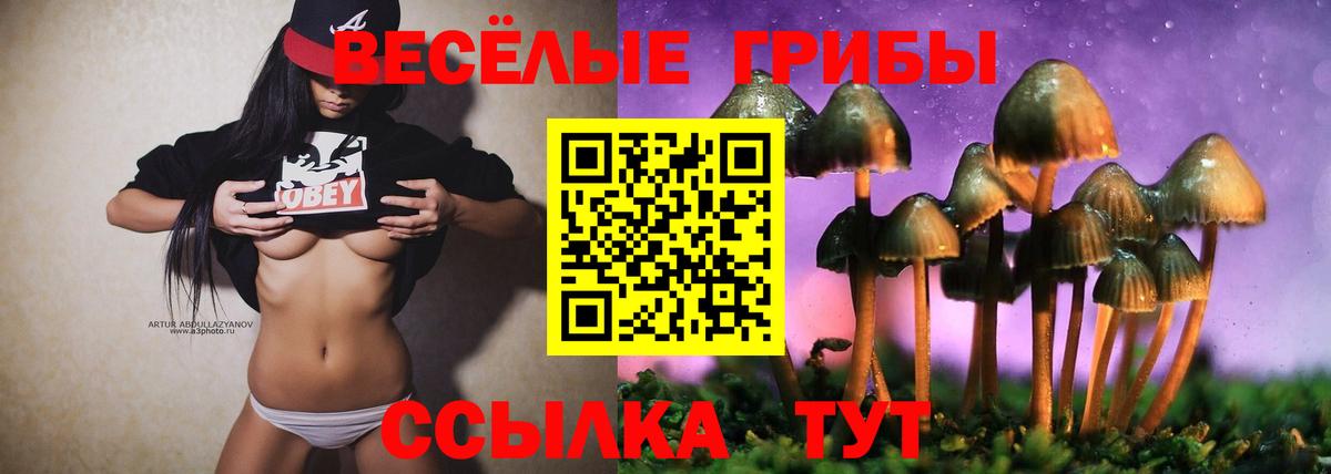 Галлюциногенные грибы Psilocybe Сарапул